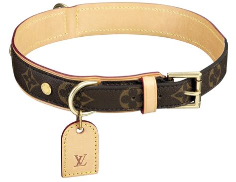 louis vuitton pet|louis vuitton pet collar.